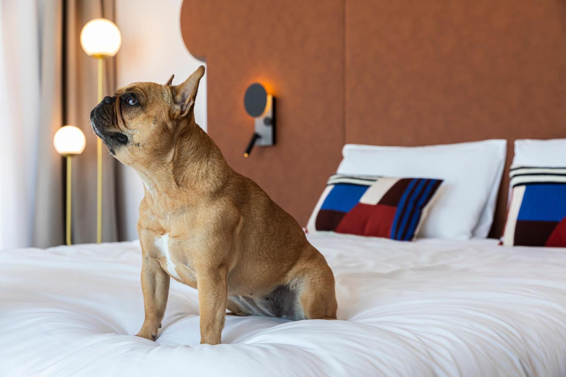 Mercure Dunkerque Centre Gare Dunkirk Ngoại thất bức ảnh